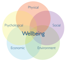 well being diagram